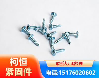 桂林华司钻尾丝