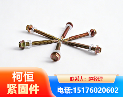 桂林六角钻尾丝