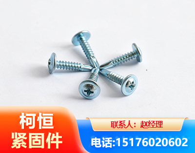 桂林华司钻尾丝