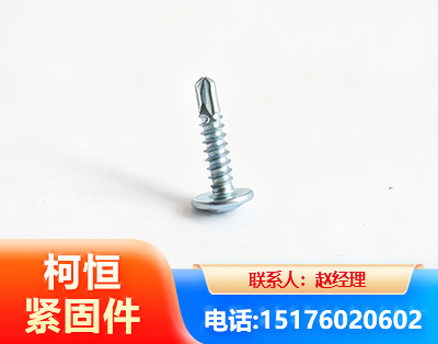 桂林华司钻尾丝